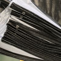Bâche en polyéthylène sur mesure en rouleau, imperméable, pour impression, tailles 2M, 4M, 6M, 8M, en PE/PP, vente en gros