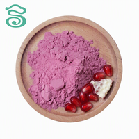 Poudre de jus de grenade soluble en gros, 10:1 20:1, extrait de fruit naturel de qualité alimentaire pour les boissons