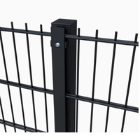 Zwaarbelastbaar poedergecoate dubbelwandige omheiningspaneel type 868, 50*200mm, geschikt voor tuin-, binnenplaats- en villabescherming