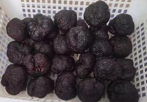 Prezzo all'ingrosso dell'olio di tartufo nero sumerian di alta qualità - Product Image 4