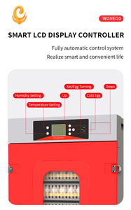 Инкубатор для яиц WONEGG, полностью автоматический, на солнечной энергии, для фермерских хозяйств, на 300 яиц, с датчиком, цена в Зимбабве - Product Image 6