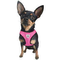 Harnais de poitrine pour chien avec laisse, respirant, réglable, réfléchissant, sans traction, en pastel, pour dropshipping