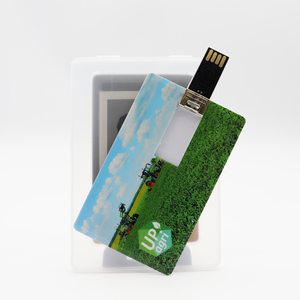 Hot bán thương hiệu thẻ kinh doanh <span class=keywords><strong>USB</strong></span> 2.0 tùy chỉnh OEM Logo 4GB ổ đĩa Pendrive 16GB 32GB bán buôn thẻ <span class=keywords><strong>USB</strong></span> <span class=keywords><strong>Flash</strong></span> Drive chất lượng tốt - Product Image 3
