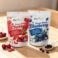 Op maat gedrukte recyclebare food grade PE stand-up pouches verpakkingen aardbeien Mylar zakjes voor gedroogd fruit