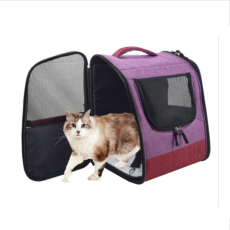 Amazon.com: Lollimeow - Mochila para transporte de mascotas, mochila de  burbuja para transportar gatos y cachorros, aprobada para aerolíneas,  diseñada para viajes, senderismo, caminatas y uso al aire libre : Productos  para