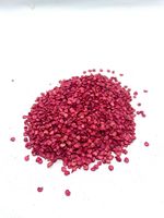 Graines de piment rouge Botani Esa F1 Merah Bird Eye pour culture agricole 1.000 Gr par Botani Seed Indonesia