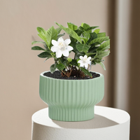 Vases en céramique nordiques en gros, petits pots à succulentes noirs givrés avec finition émaillée pour la maison et le jardin