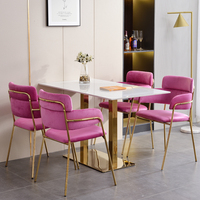 Chaise de salle à manger en métal de luxe légère pour hôtel coiffeuse de salon de manucure commerciale club usage domestique Internet favori des célébrités