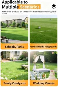 Pintura Natural <span class=keywords><strong>para</strong></span> Césped <span class=keywords><strong>de</strong></span> Color Directo <span class=keywords><strong>para</strong></span> Campos <span class=keywords><strong>de</strong></span> Golf y Áreas <span class=keywords><strong>de</strong></span> Césped Seco - Product Image 5