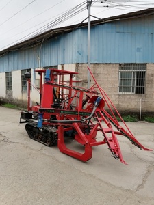 Máquina cosechadora <span class=keywords><strong>de</strong></span> <span class=keywords><strong>caña</strong></span> <span class=keywords><strong>de</strong></span> azúcar <span class=keywords><strong>de</strong></span> alta eficiencia, con orugas <span class=keywords><strong>de</strong></span> goma, todo terreno, <span class=keywords><strong>de</strong></span> baja rotación y baja dañina para el suelo, directa <span class=keywords><strong>de</strong></span> fábrica - Product Image 2