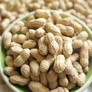 Servicio OEM de Cacahuetes Crudos en Cáscara a Granel en Bolsas Tejidas para Marcas de Frutos Secos de Marca Privada - Product Image 1