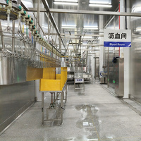 Abattoir de poulets Machine automatique d'équipement d'abattage halal Processus d'abattoir Ligne de production de poulet