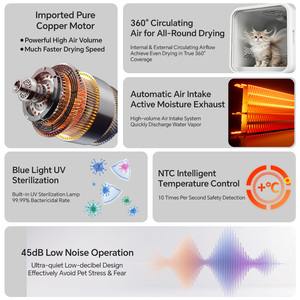 Armadio Asciugatore <span class=keywords><strong>per</strong></span> Animali Domestici Completamente Automatico con Ventilatore Elettrico Silenzioso e Protezione dal Surriscaldamento <span class=keywords><strong>per</strong></span> Toelettatura <span class=keywords><strong>Gatti</strong></span>, Bagno Cani, Uso Domestico - Product Image 5