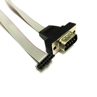 Cable Plano IDC Personalizado FC-10P de 2.0mm con Conector Hembra DB9, 30CM, Arnés de Cableado Automotriz RS232, Carcasa de PVC/ABS, GM