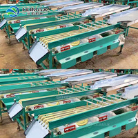 Multifunctionele fruit- en dadels sorteermachine, tracktype dadels sorteermachine, palm rode dadels sorteermachine