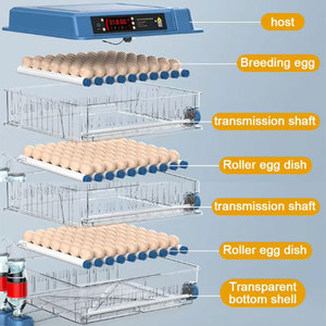 Incubateur automatique pour œufs de poulet 100 200 300, double alimentation, 3 <span class=keywords><strong>en</strong></span> 1 : incubation, écloserie et éleveuse, machine tout-<span class=keywords><strong>en</strong></span>-un - Product Image 6