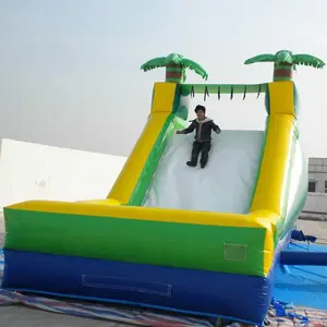 Inflatable slide nước các nhà sản xuất/inflatables trượt nước để bán/inflatable trượt nước để bán w3023