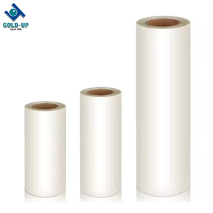 Truyền Nhiệt T-Shirt In Ấn Pet Phim Vinyl Mực Trắng Máy Bay Phản Lực Máy 60Cm Kỹ Thuật Số Máy In Phun Dtf Máy In - Product Image 1