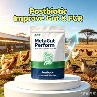 ADZ MetaGut Perform, expert en soins intestinaux, booster de croissance pour volailles, poulets, poulets de chair, canards, additifs alimentaires biologiques