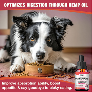 कुत्तों के लिए भांग का तेल तेजी से अवशोषण विटामिन और खनिज आराम के लिए चिंता हिप/संयुक्त दर्द राहत और बेहतर नींद (2 पैक) - Product Image 4
