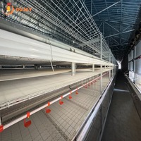 Système de cages à poulets automatiques de type H pour l'élevage avicole commercial, équipement pour les poulaillers modernes