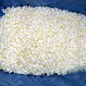 Oignon Blanc Congelé de Haute Qualité HP Valia Grade A pour Curry, Sauteurs, Plats Préparés et Applications Culinaires Saines 1kg Prix Export - Product Image 4