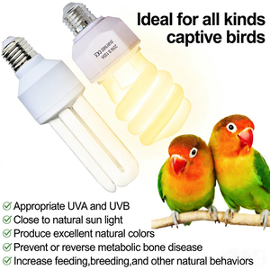 Lámpara UVB para Pájaros de Alta Calidad, 2.4% UVB, 20W UVA UVB, Espectro Completo, Bombilla CFL E26 E27, Lámpara Fluorescente Compacta, Luz UVB para Aves - Product Image 2