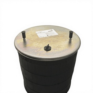 PANSHI Nuevo y Popular Amortiguador Neumático de Eje de Gran Tamaño OEM 0542940611 Pieza de Repuesto para Remolque - Product Image 1