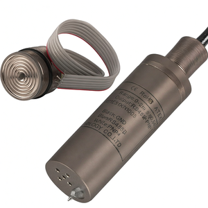 OEM ดีไซน์ใหม่ HPT604-FW เครื่องตรวจจับน้ำแบบจุ่มใต้น้ำทำจากสแตนเลสสำหรับการวัดระดับน้ำ พร้อมความแม่นยำ 0.5% F.S เซ็นเซอร์ระดับน้ำ IP68 - Product Image 5