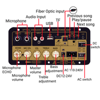 Amplificateur numérique domestique 35W Mono avec double entrée micro, USB, TF, fibre optique, télécommande, réglage du subwoofer en alliage d'aluminium