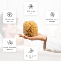 Épurateur de bouffées écologiques pour le bain et la douche Éponges de mer en luffa douces et naturelles durables