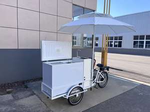 Carrito Eléctrico para Venta de Comida Callejera, Helados y Bebidas, Máquina Expendedora de Café, con Cámara Frigorífica de 200L - Product Image 2