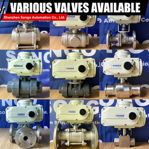 Vanne à boisseau sphérique motorisée 2 voies en acier inoxydable 304, filetage NPT femelle, 2 pouces, 12 V CC, RS485, type régulation - Product Image 2