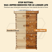 Ruche Langstroth en sapin ciré de 20 mm d'épaisseur pour apiculture, kit de démarrage complet pour apiculteurs