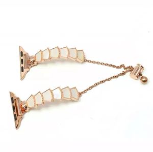 Bracelet de montre en métal en acier inoxydable <span class=keywords><strong>pour</strong></span> <span class=keywords><strong>Apple</strong></span> <span class=keywords><strong>Watch</strong></span> série 7 6 5 4 3 2 1 <span class=keywords><strong>SE</strong></span> - Product Image 2