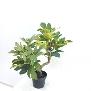 Cây Nhựa Nhân Tạo Mô Phỏng Cao Cây Vả Trang Trí - Product Image 5