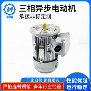 Suministro Directo de Fábrica de Motores de CC Encastrados en Miniatura, Motores de CA Trifásicos, Motores Asíncronos Trifásicos - Product Image 5