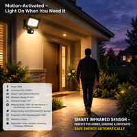 Projecteur d'éclairage de jardin IP65 3000 lumens, projecteur mural, projecteur à faisceau large 10w 20w 30w 50w 100w avec détecteur de mouvement