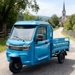 Tricycle électrique fermé EEC COC 2026 2000W 60V Cargo <span class=keywords><strong>Trike</strong></span> - Entrepôt Roumanie DDP Confort Grande capacité Camion à 3 roues - Product Image 5