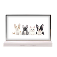 LW550JUL-HMA1 TV OLED Pintar Tipe Desktop Versi Android Layar OLED Transparan 55 Inci