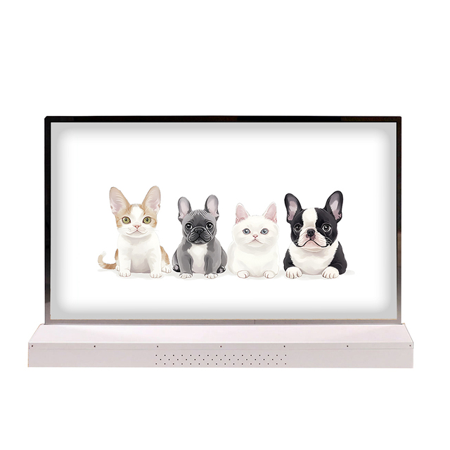 LW550JUL-HMA1 Desktop Type Smart OLED TV Android  Version 55 Inch Transparent OLED Screen Display