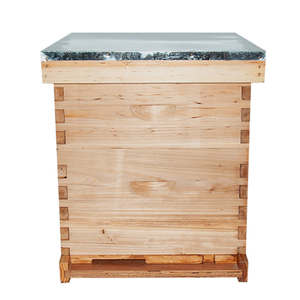 Bán Chạy 2 Lớp 10 Khung Gỗ <span class=keywords><strong>Langstroth</strong></span> Tổ Ong Hoàn Chỉnh Cho Ong - Product Image 1