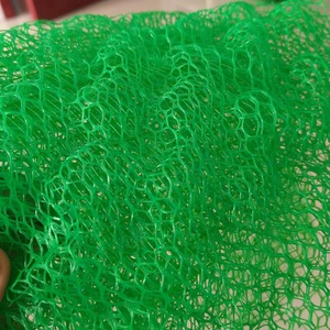 Lưới gia cố sân cỏ HDPE hai lớp để bảo vệ bờ sông - Product Image 1