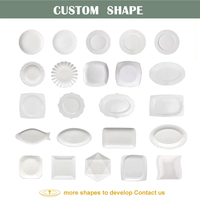 Assiettes de dîner en porcelaine fine à bord doré blanc pur de style nordique de luxe bols écologiques nouvel ensemble en porcelaine pour les mariages