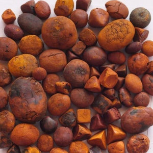 Cálculos Biliares Bovinos Naturales de Alta Pureza, Grado Premium de Exportación, a Prueba de Humedad al Vacío, 2 Años de Vida Útil, Suministro con Empaque Personalizado - Product Image 4