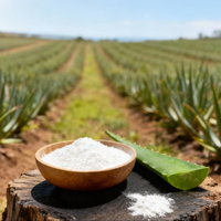 Poudre d'extrait d'aloe vera pur et naturel hautement concentré, soluble dans l'eau, 100X, qualité cosmétique pour usage personnel et cosmétique régulier