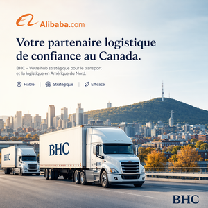 Transporte marítimo <span class=keywords><strong>de</strong></span> China a <span class=keywords><strong>Roma</strong></span>, Italia, FCL LCL puerta a puerta, agente <span class=keywords><strong>de</strong></span> envío DDP, servicio <span class=keywords><strong>de</strong></span> carga. - Product Image 2
