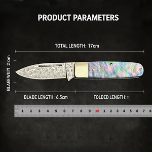 Couteau de poche pliant en acier Damas allemand Bochen avec manche en os de cerf Honn et laiton poli pour le camping en plein air - Product Image 3