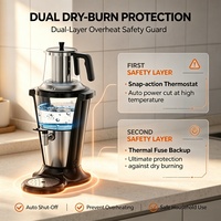 Samovar de grande capacité 4L approuvé CB, théière en verre SCHOTT DURAN avec infuseur