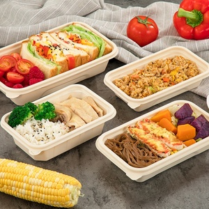 Disposable Biodegradable sugarcane bagasse packaging food container take away Lunch Box with lid